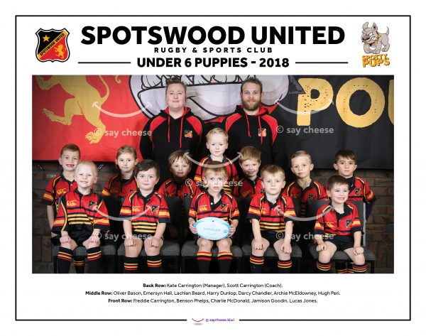 2018 Spotswood United Under 6 [2018SPOTU6P]