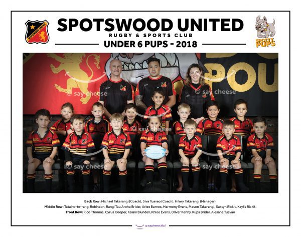 2018 Spotswood United Under 6 [2021SPOTU6]